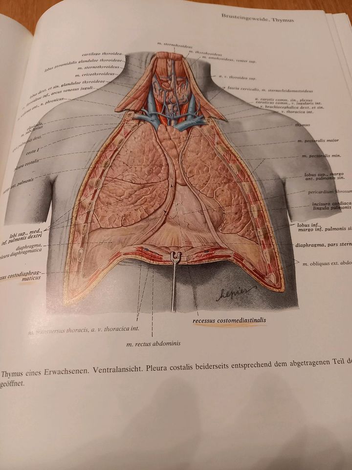 Sobotta, Atlas der Anatomie des Menschen, in 2 Bänden, 18.Auflage in Hannover