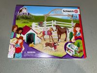 Schleich Horseclub Hessen - Maintal Vorschau