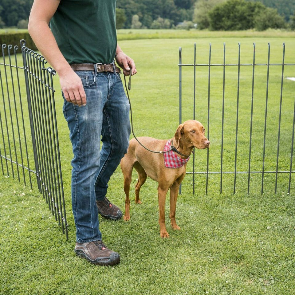 Metallzaun, Hundezaun für den Garten, stabil und variabel in Nordrhein