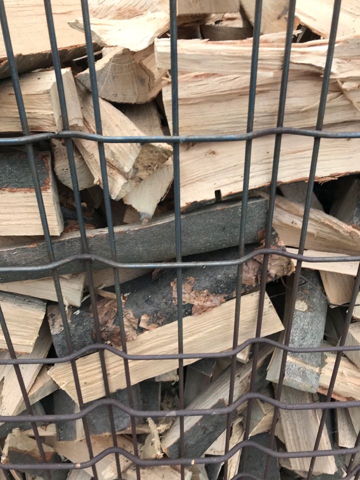 Kaminholz Brennholz Kammer getrocknet TROCKEN Buche Esche in Dortmund