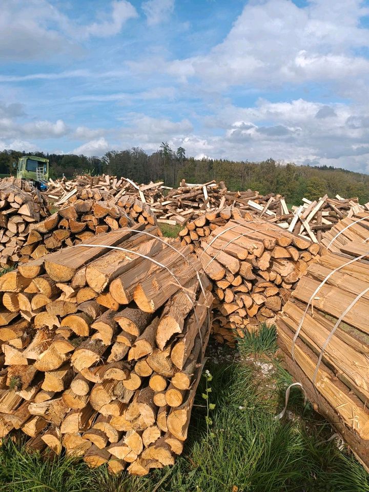 Brennholz.   Kaminholz.  Stammholz.   Ofenfertig in Fremdingen