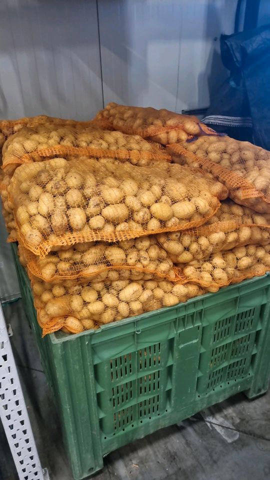 Futterkartoffeln abzugeben in Beelitz
