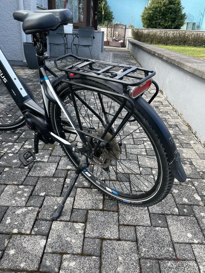 E-Bike Pegasus Premium EVO 10 Tiefeinsteiger  Pedelec 28 in Schwanfeld