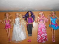 Barbie`s suchen ein neues zu Hause Niedersachsen - Borstel b Sulingen Vorschau