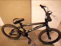 BMX Rad Fahrrad 20 Zoll freestyle schwarz Niedersachsen - Holzminden Vorschau