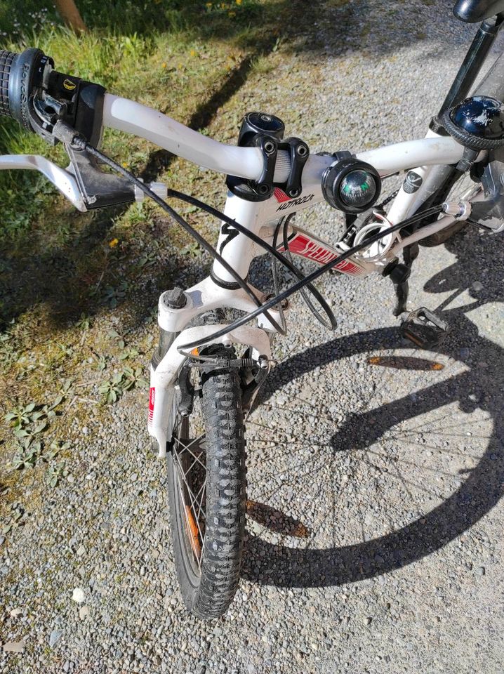 Fahrrad Specialized Kinderfahrrad Mountenbike in Schlier