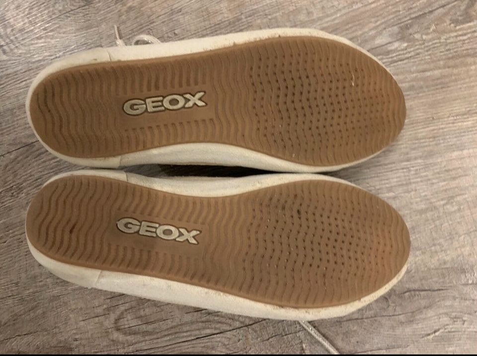 Geox Schuhe in beige Größe 37 in Erwitte