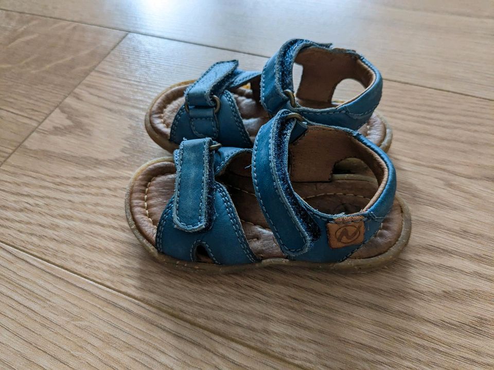 Naturino Sandale blau Größe 20 in Bernau