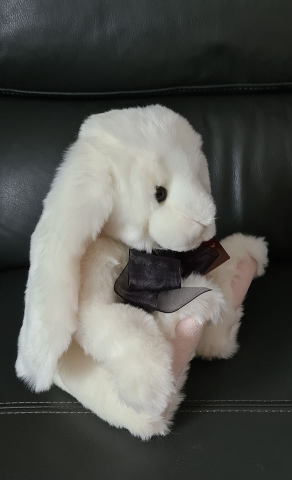Charlie Bears Hase Magician´s Nephew - Jahr 2022 in Ronnenberg
