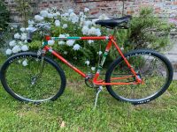 Herrenbike Rixe Oldtimer Bayern - Neu Ulm Vorschau