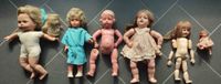 Konvolut antiker Puppen 1900 bis 50er Jahre Nordrhein-Westfalen - Königswinter Vorschau