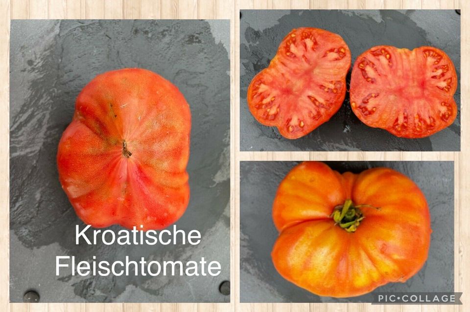 Tomaten Saatgut in Oberhausen