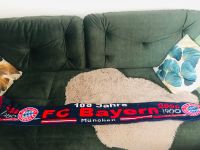 FC Bayern 100 Jahre Schal Niedersachsen - Bad Münder am Deister Vorschau