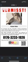 Katze wird vermisst Hessen - Heusenstamm Vorschau