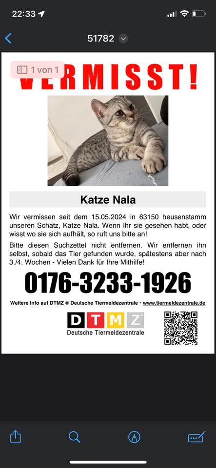 Katze wird vermisst in Heusenstamm