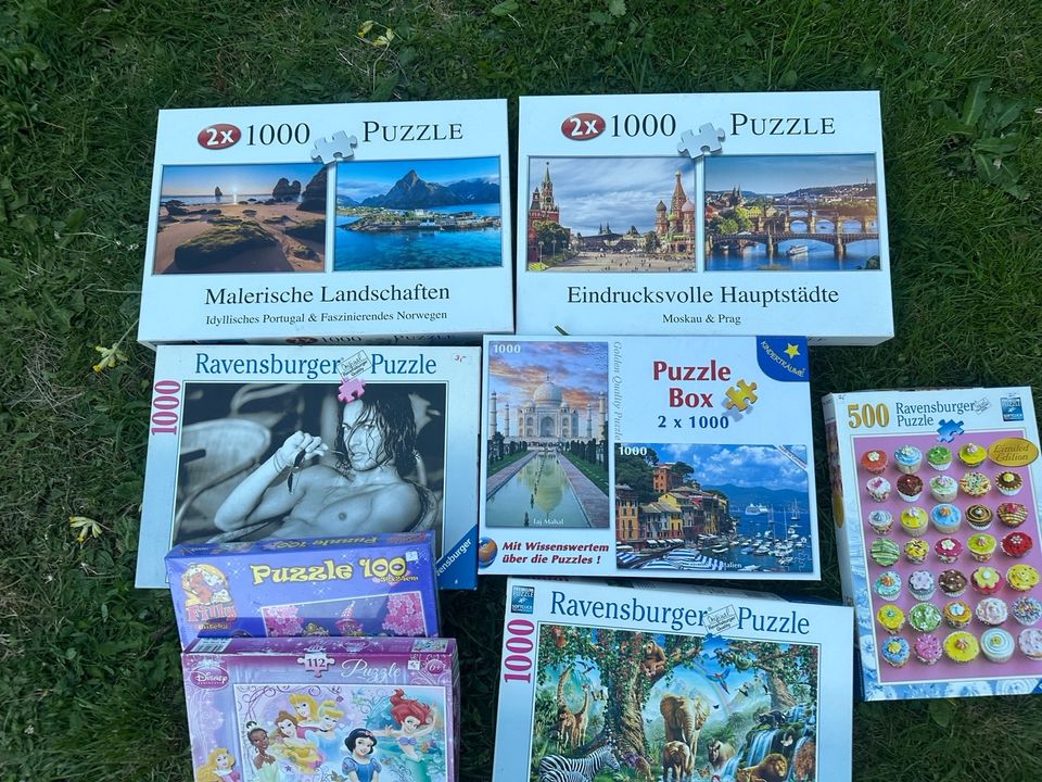 Puzzle Konvolut xxl Ravensburger in Dresden