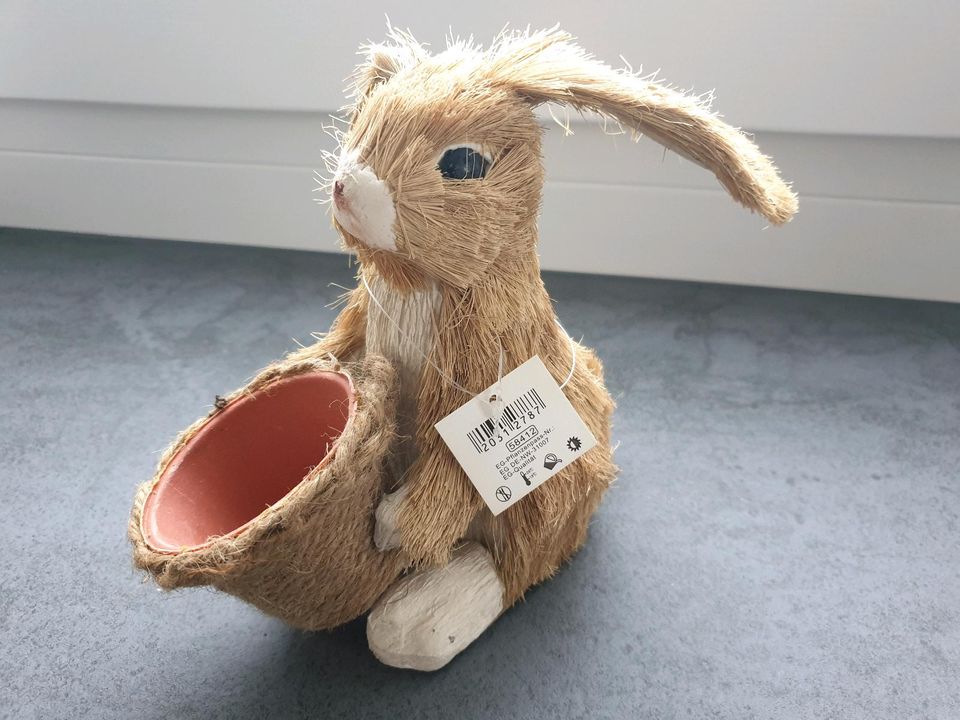 Neu Hase mir Korb, Pflanzkorb, Ostern in Regensburg