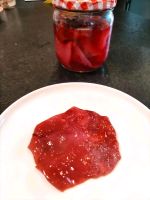 Kombucha | Teepilz | Scoby aus Hibiskusblütentee Hessen - Ebsdorfergrund Vorschau