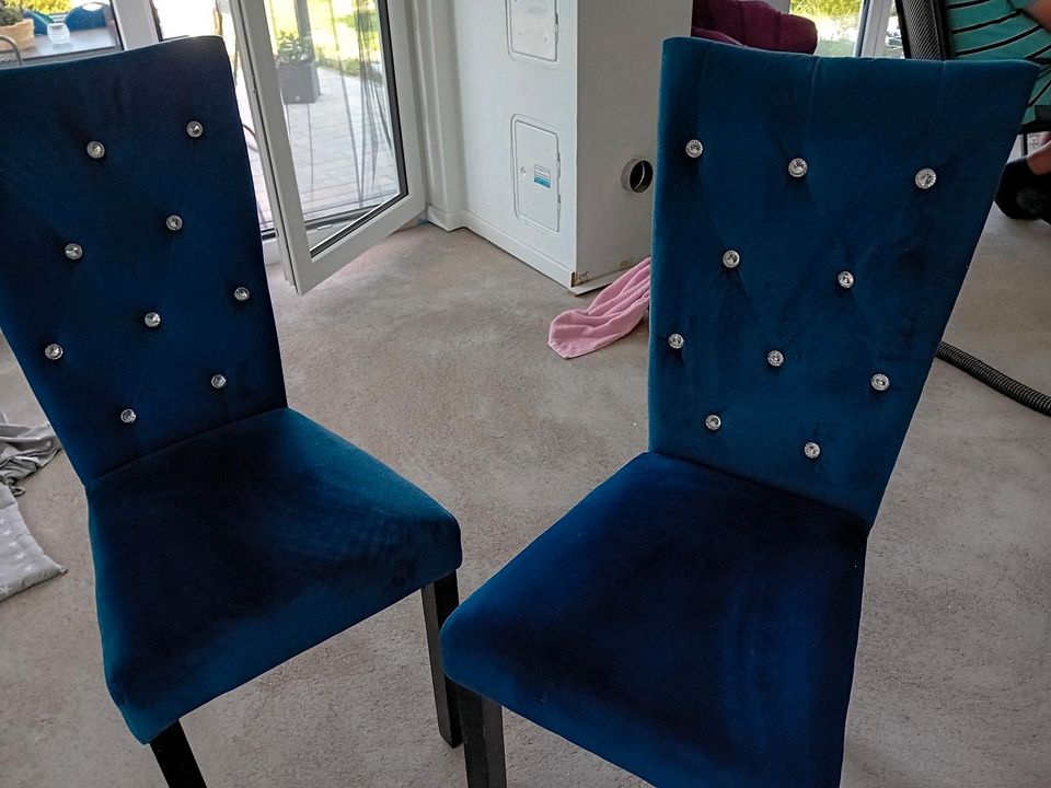 6 bequeme Stühle mit samtbezug zu verkaufen. in Arnstadt