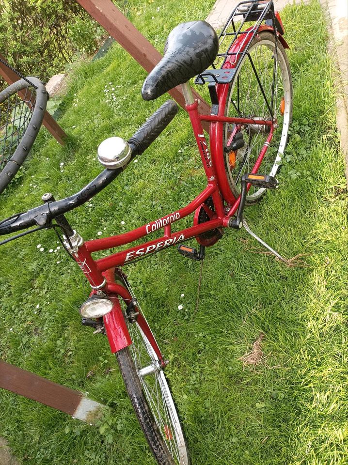 Damenfahrrad 26 Zoll mit 5 Gang Schaltung rot fahrbereit in Thalbürgel