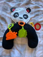 Fisher Price Panda Lagerungskissen Bauchlagekissen Schleswig-Holstein - Flensburg Vorschau