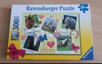 Pferde Puzzle von Ravensburger 300 Teile Nordrhein-Westfalen - Dormagen Vorschau