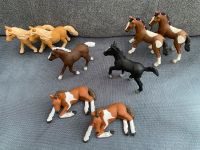 8 verschiedene Schleich Fohlen zusammen 25€ Brandenburg - Prenzlau Vorschau