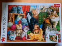 Katzen Puzzle 1000 Teile Brandenburg - Treuenbrietzen Vorschau