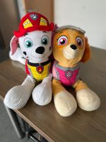 Marshall und Skye von Paw Patrol Rheinland-Pfalz - Ransbach-Baumbach Vorschau