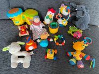 Babyspielzeug Holz Spielzeug Chicco Fehn Selecta Fisher Price Hessen - Pfungstadt Vorschau