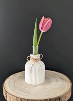 Vase mit Reagenzglas|Geschenk|Mitbringsel| Geburtstag|Muttertag Hessen - Wettenberg Vorschau