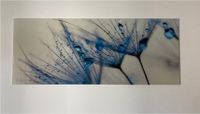 Wandbild Glasbild Pusteblume 125 x 50 blau. Bayern - Sand a. Main Vorschau