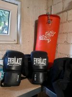 Profi Boxsack mit Handschuhe Erwachsene Rheinland-Pfalz - Sinzig Vorschau