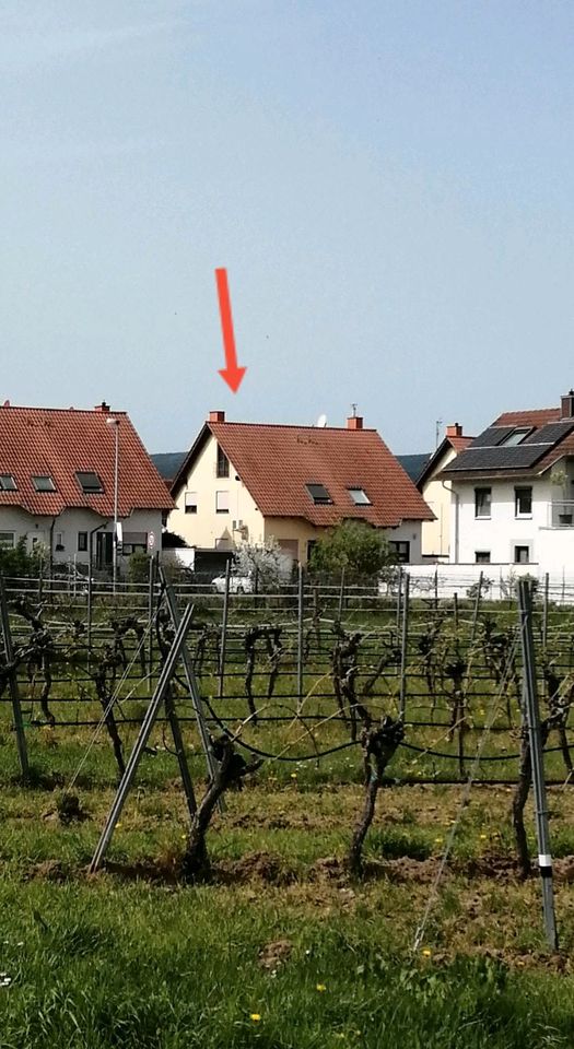 Schöne Doppelhaushälfte mit Garten in Meckenheim