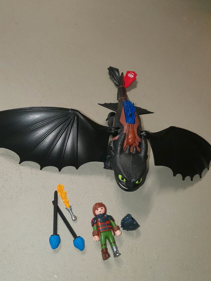 Playmobil Dragons Berg und Drachen in Detmold