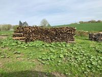 Brennholz Roteiche Fichte Nordrhein-Westfalen - Minden Vorschau