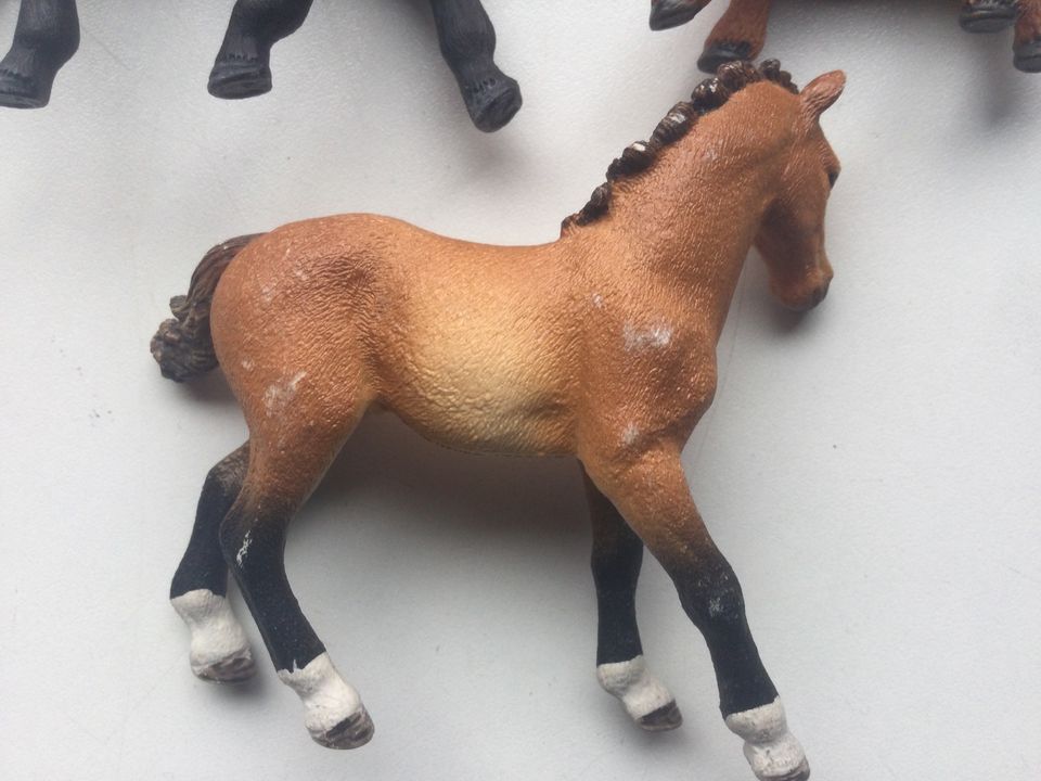 Schleich Pferde Figuren Set Konvolut Mini Shetty Tennessee Walker in Künzell