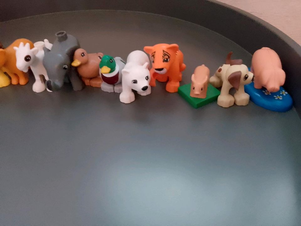 Lego Duplo Tiere Schwein,Schaf,Kuh in Neuwied
