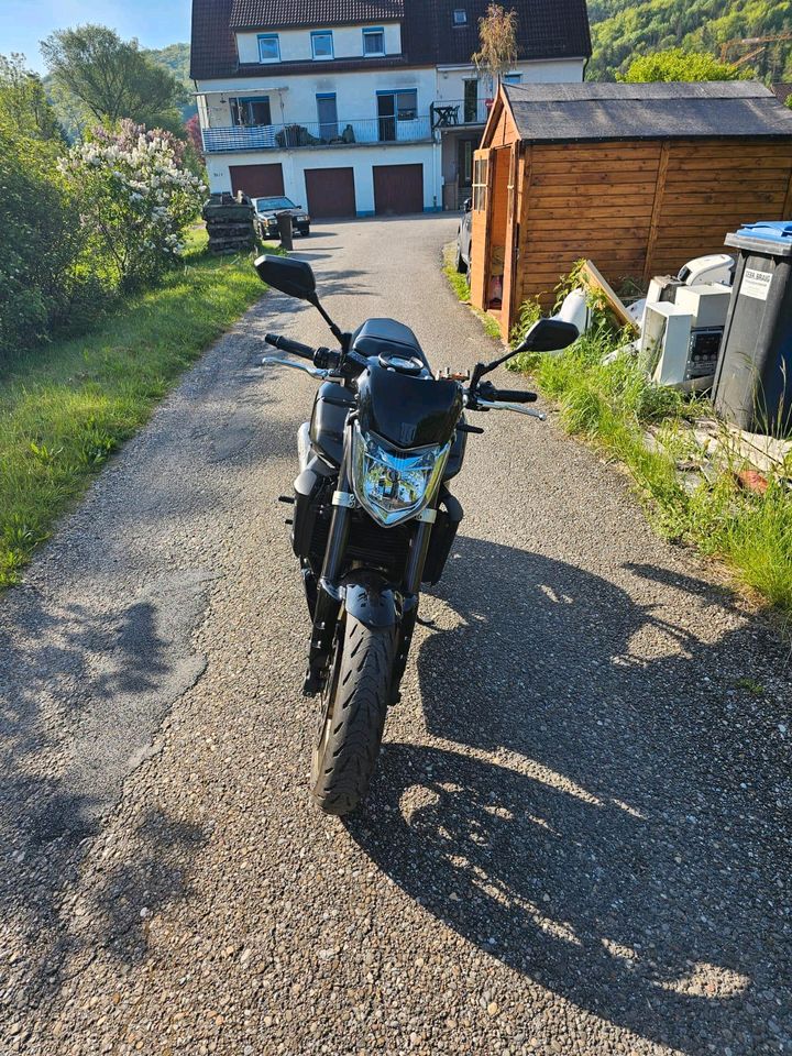 Yamaha FZ1 N in Blaubeuren