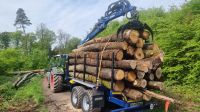 Holztransporte, Stammholztransport mit Rückewagen, Stammholz Baden-Württemberg - Fahrenbach Vorschau