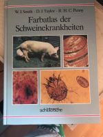 Buch Farbatlas der Schweinekrankheiten Smith Taylor Penny Hannover - Kirchrode-Bemerode-Wülferode Vorschau