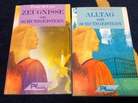 2 Bücher :Penny Mclean  Zeugnisse und Alltag mit Schutzgeistern Bayern - Landshut Vorschau