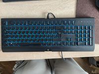 Razer Cynosa Chroma - DE (hintergrundbeleuchtete Tasten) Baden-Württemberg - Tübingen Vorschau