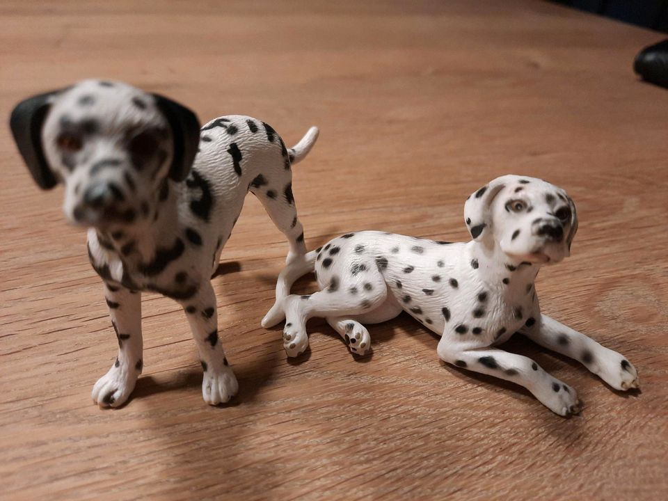 Schleich Hunde Dalmatiner 2Stck Set in Bottrop