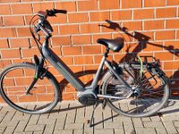 Sparte e-bike 28 Zoll Niedersachsen - Bad Bentheim Vorschau