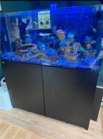 Aquarium zu verkaufen Nordrhein-Westfalen - Hagen Vorschau