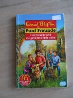 Enid Blyton "Fünf Freunde und die geheimnisvolle Ruine" Sonder Rheinland-Pfalz - Wolfsheim Vorschau