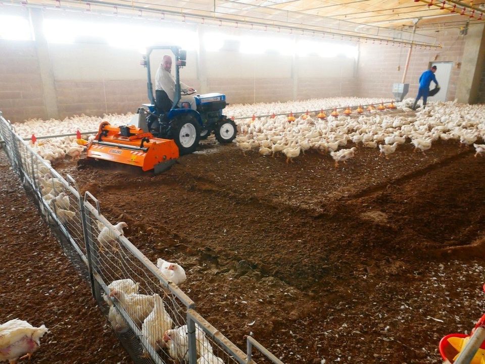 DELEKS® PAVO-160 Fräse für Einstreu von Geflügelfarmen, Kuhställe in Pfaffenhofen a. d. Glonn