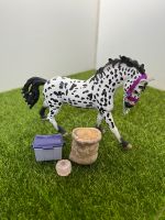 Knabstrupper Schleich Stute mit Zubehör Wuppertal - Ronsdorf Vorschau