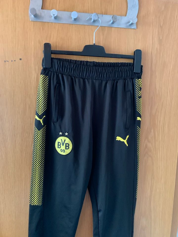 Puma Hose schwarz Slim BVB in Ibbenbüren